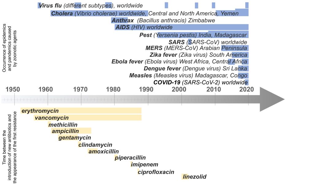 Zoonoses and antibiotic resistances since 1950 – risks for human, animal and environmental health